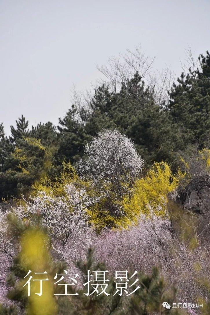 短期利空变长期利好!伯恩斯坦:减肥药有望扩大减肥手术市场