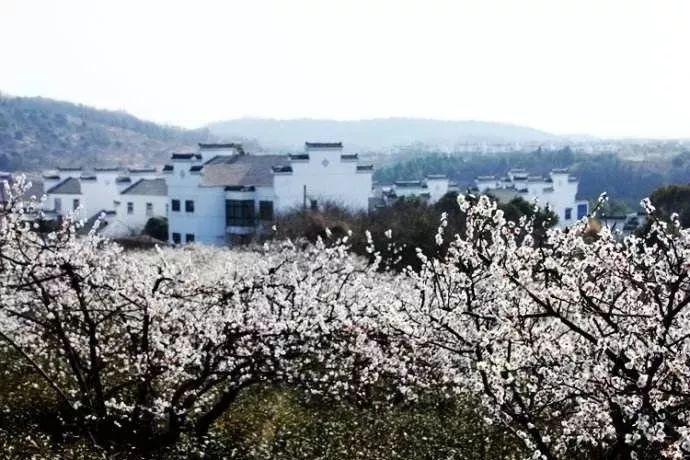 小猫钓鱼游戏龙王版有船
