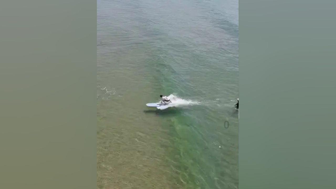 救援工程师