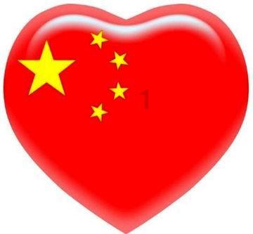 救援受困的小野猫