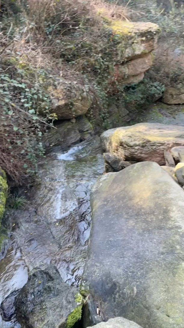 大话西游手游