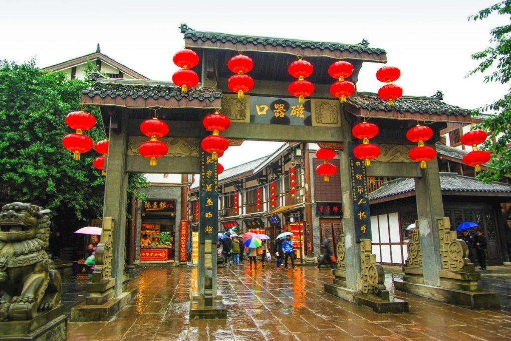 寻找火鸡