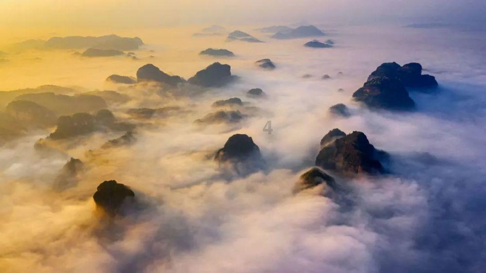饿狮救援